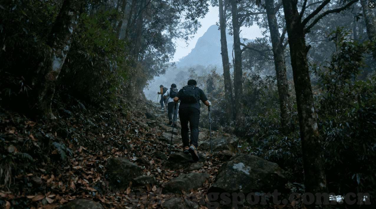 支付宝买世界杯彩票-支付宝买世界杯彩票，便捷体验与理性投注的完美结合